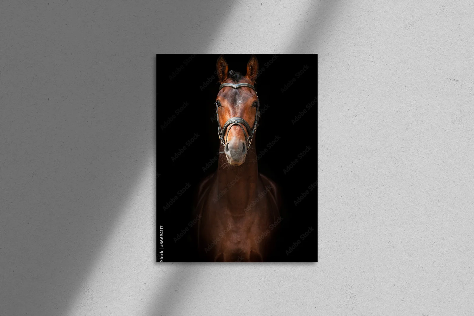 Bay Stallion: Szlachetność i Pasja w Ciemności