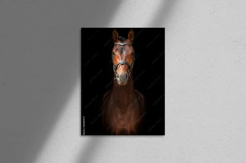 Bay Stallion: Szlachetność i Pasja w Ciemności