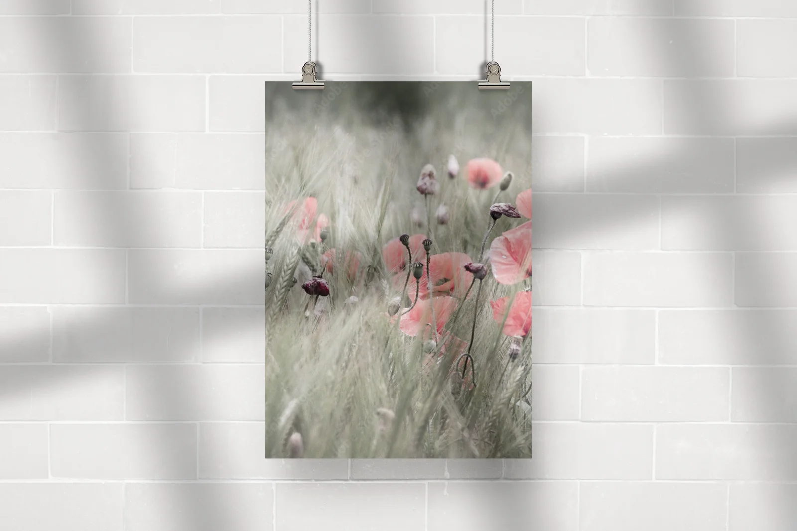Poppy w nasyconych odcieniach natury