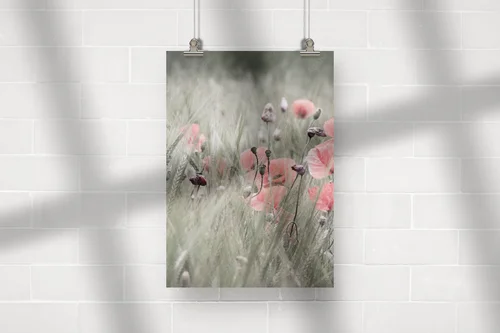 Poppy w nasyconych odcieniach natury
