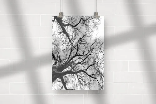 Nostalgiczne lasy w monochromatycznej stylistyce