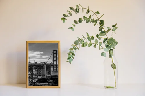 Zjawiskowa Gra Cieni: Most Golden Gate