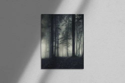 Mistyczne leśne pejzaże w odcieniach nocnej głębi