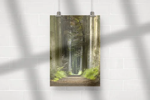Tranquil Nature Pathway w bogatych odcieniach