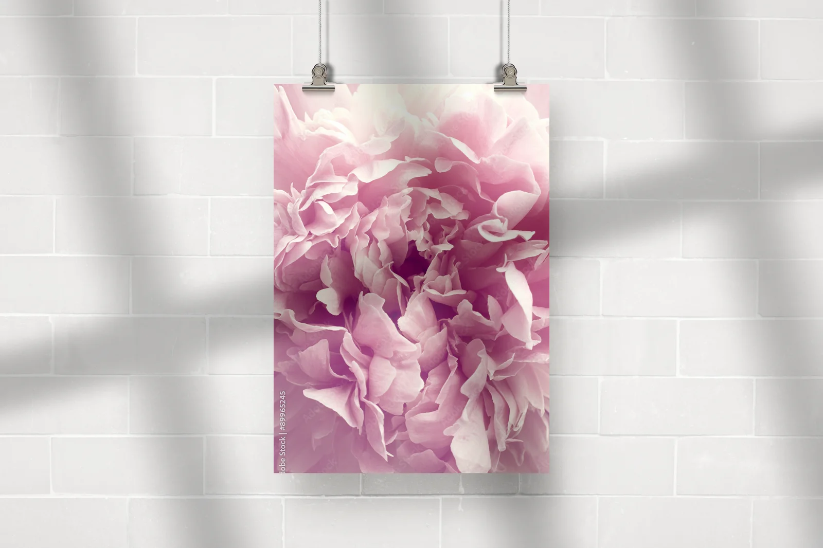 Peonie: Urok w pastelowych odcieniach natury