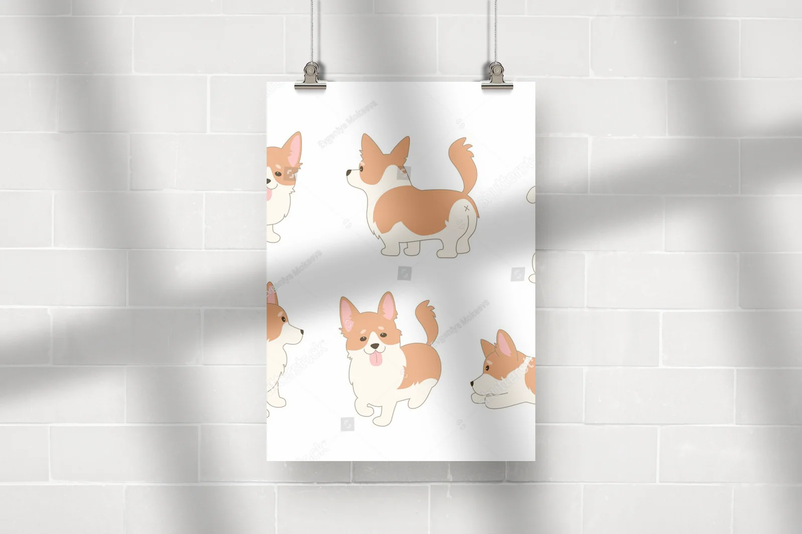 Urocze koronkowe corgi w aksamitnej bieli
