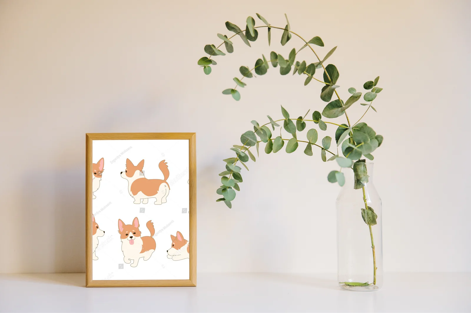 Urocze koronkowe corgi w aksamitnej bieli