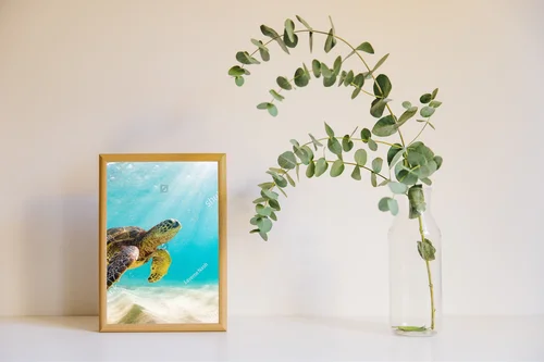 Zanurzeni w kolorach oceanu z żółwiem morskim