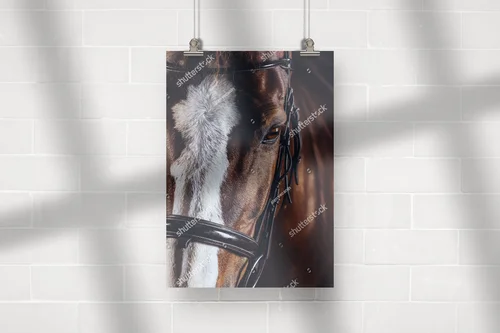 Zachwycający portret konia w eleganckich odcieniach
