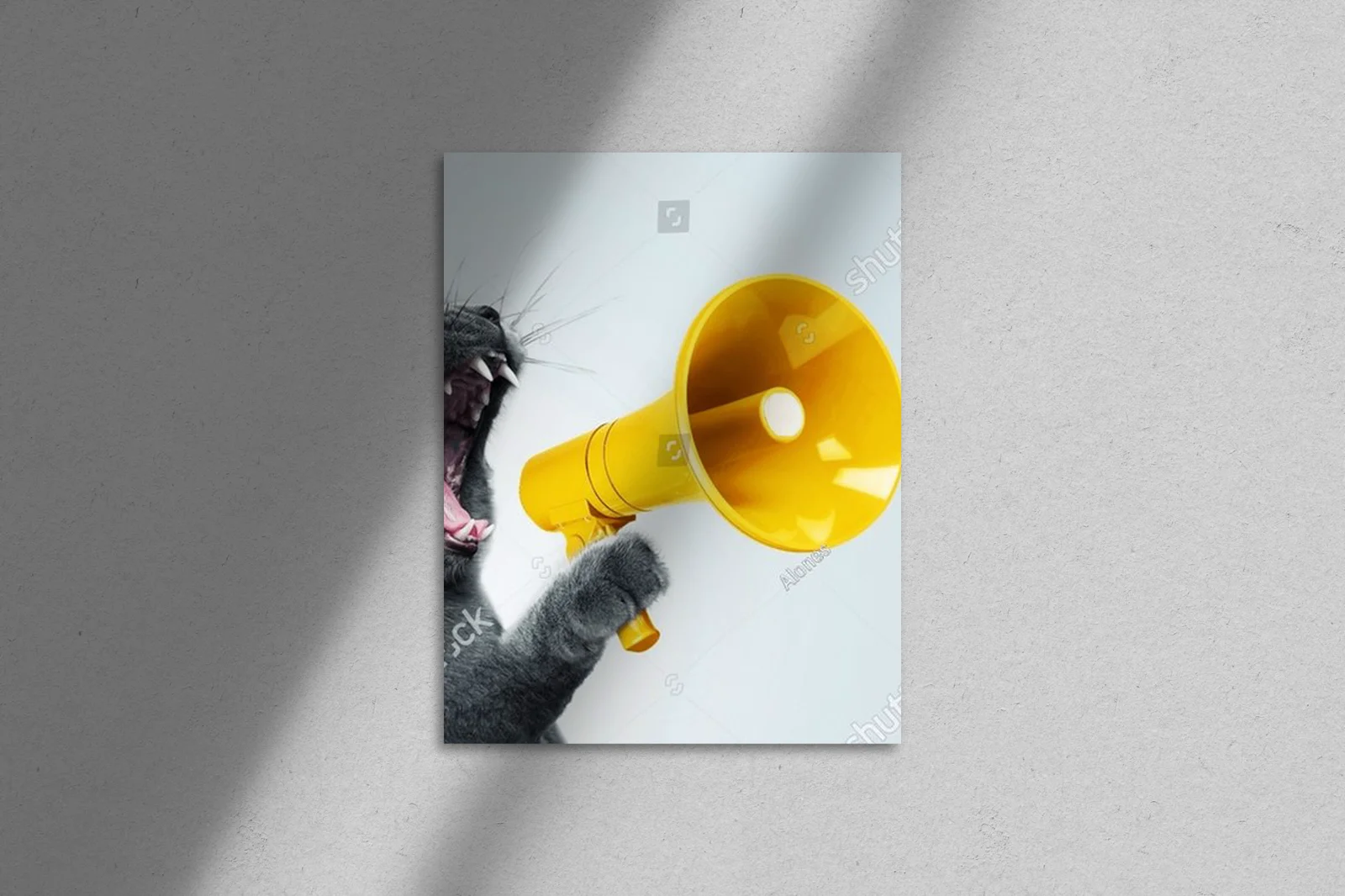 Energiczne meowing w pastelowych barwach