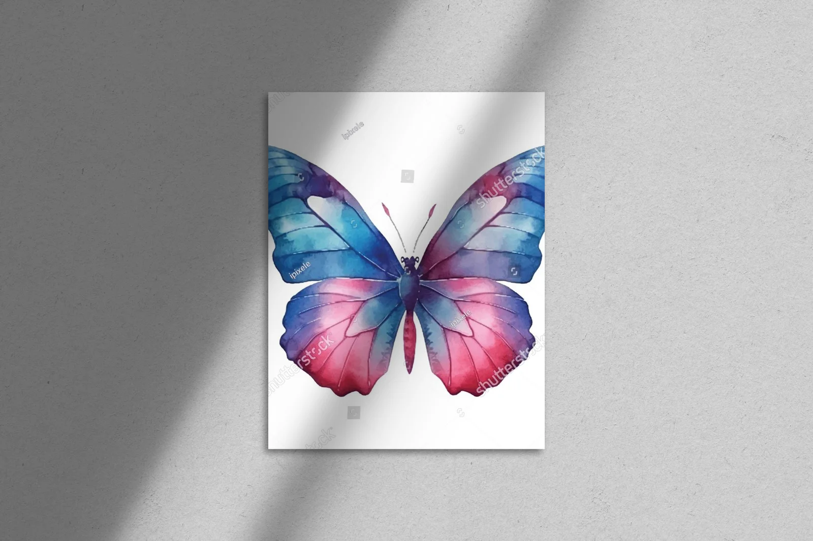 Woda i lekkość - motyl w białej harmonii