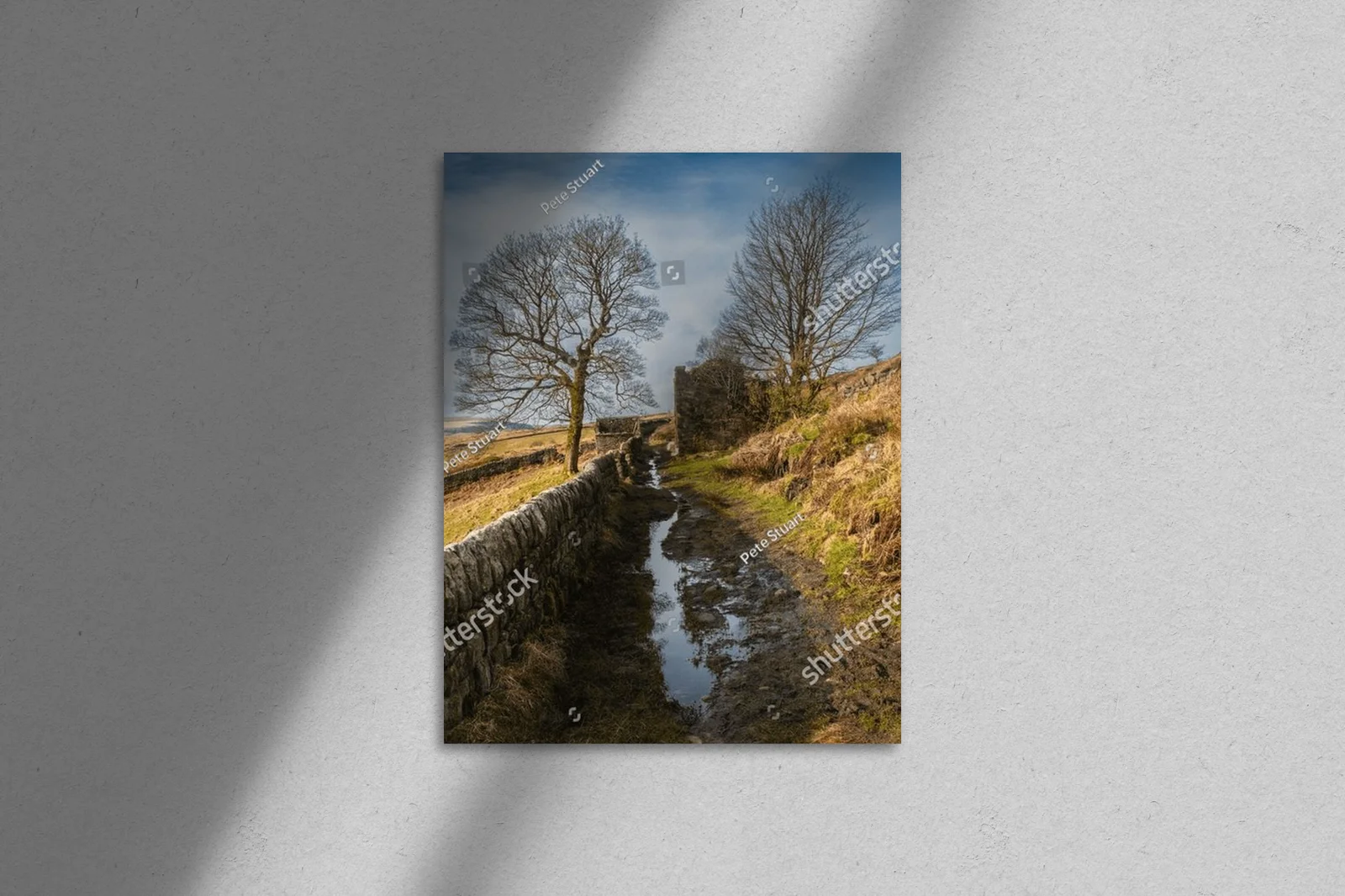Wędrówki wśród barwnej natury Calderdale
