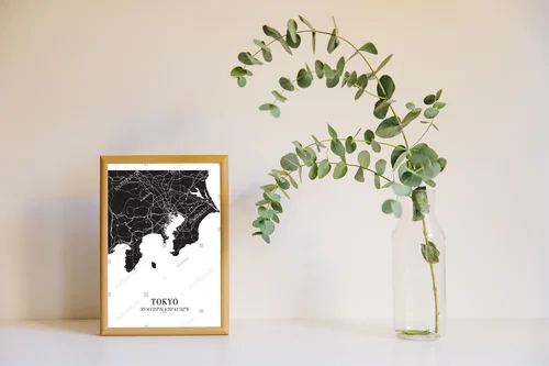 Zjawiskowa mapa Tokio w eleganckim stylu