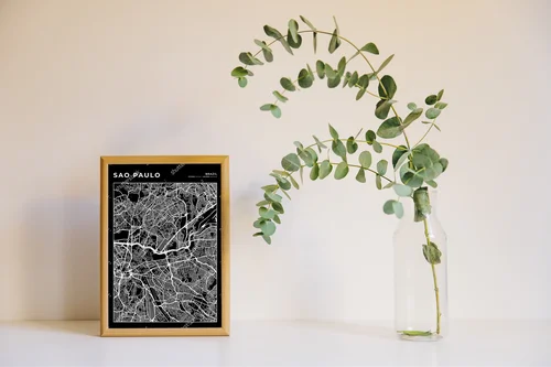Minimalistyczna mapa São Paulo w monochromatycznej elegancji