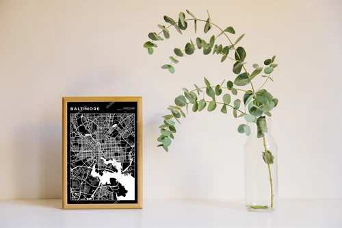Elegancka mapa Baltimore w monochromatycznych odcieniach