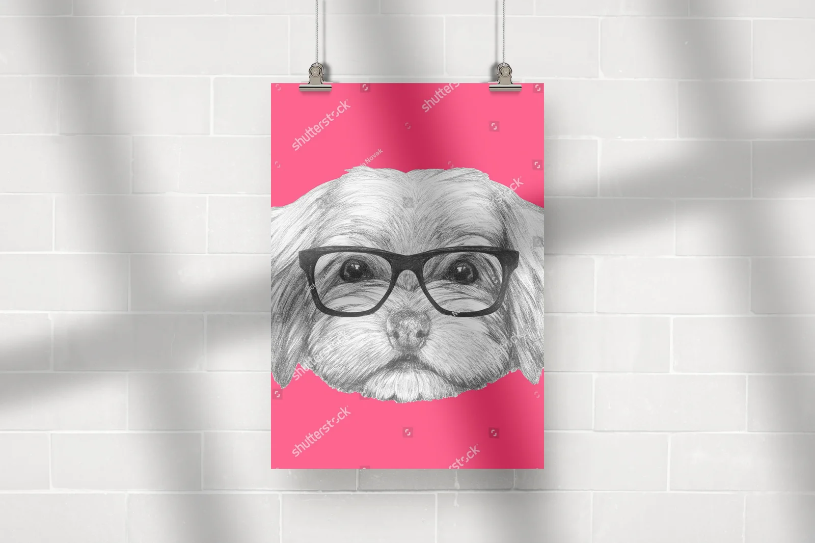Uroczy portret Havanese w modnych okularach