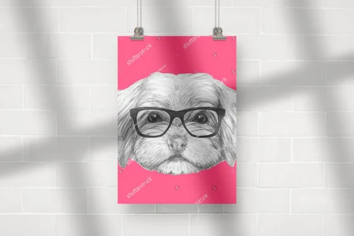 Uroczy portret Havanese w modnych okularach