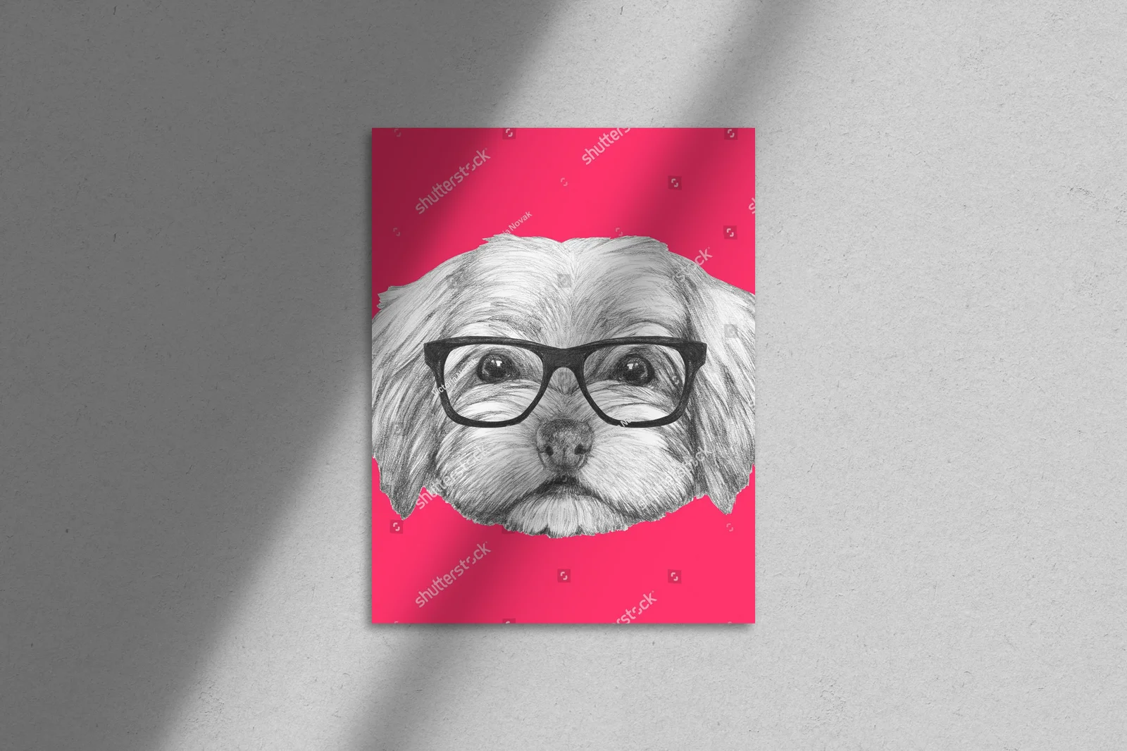 Uroczy portret Havanese w modnych okularach