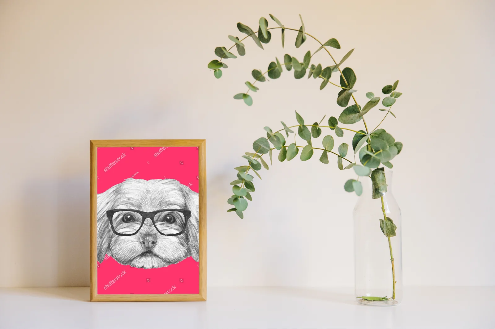 Uroczy portret Havanese w modnych okularach