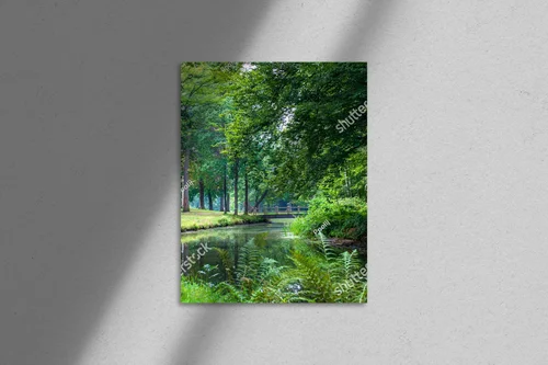 Urokliwa sceneria lasów wiosną
