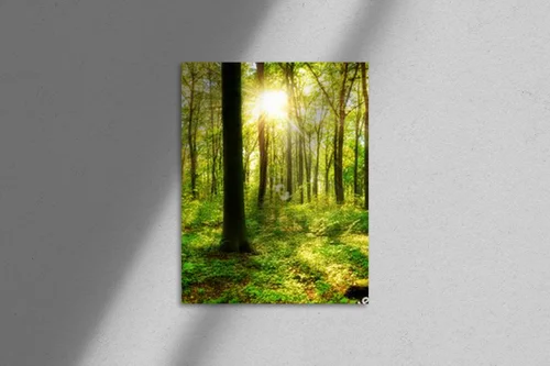 Zachwycająca panorama leśnego krajobrazu