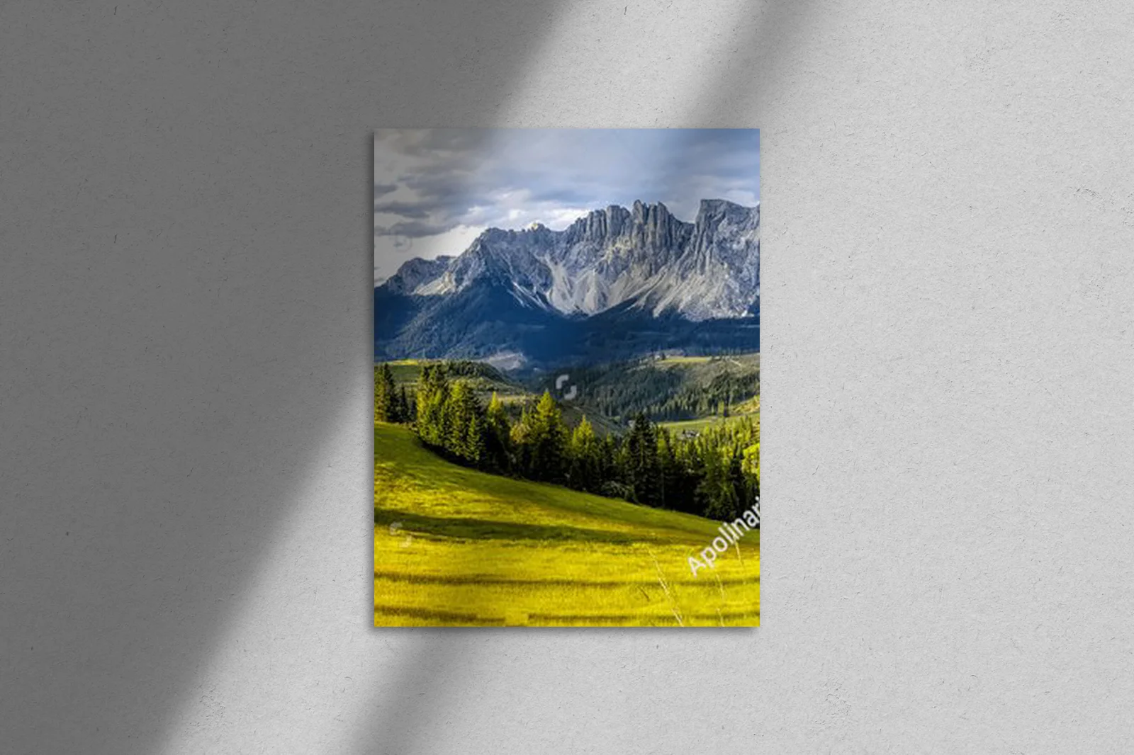 Panoramiczny widok alpejskiej łąki latem