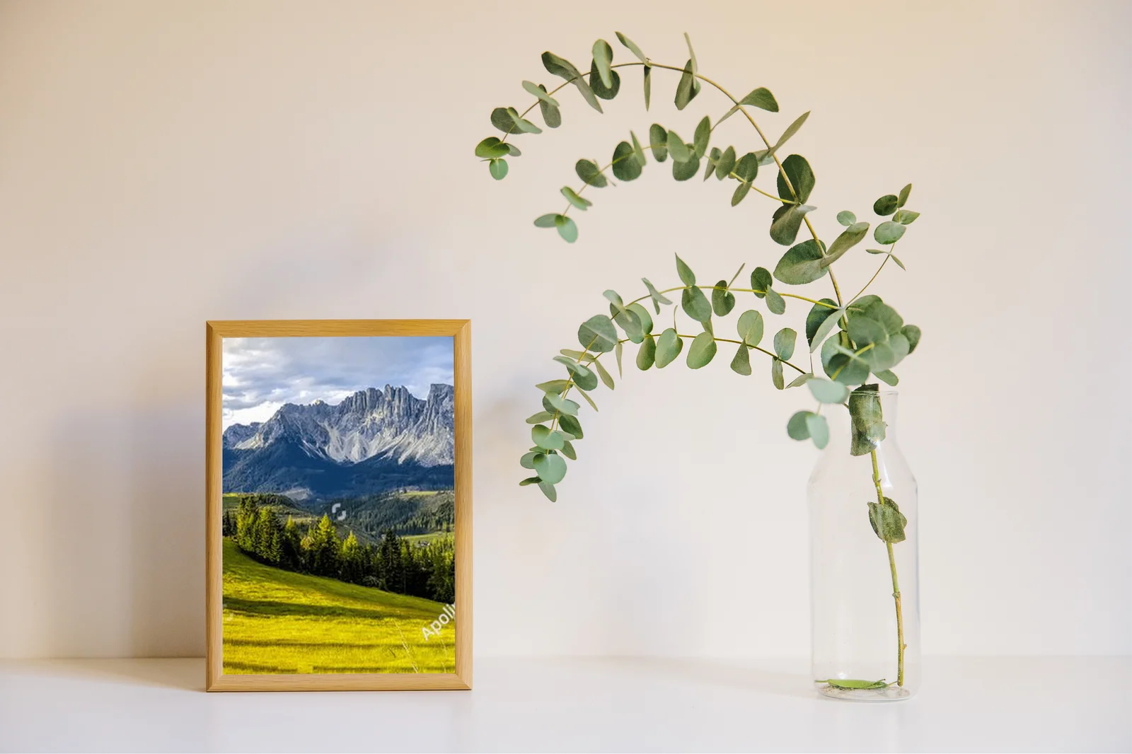Panoramiczny widok alpejskiej łąki latem