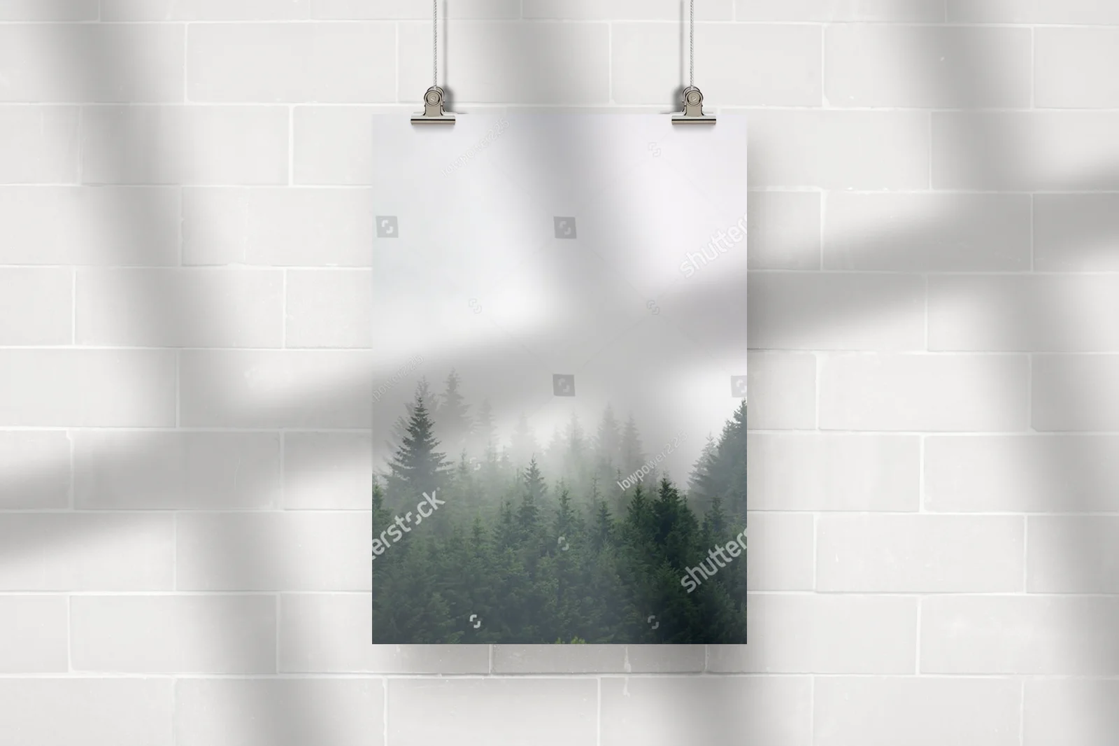 Misty poranek w leśnej dolinie