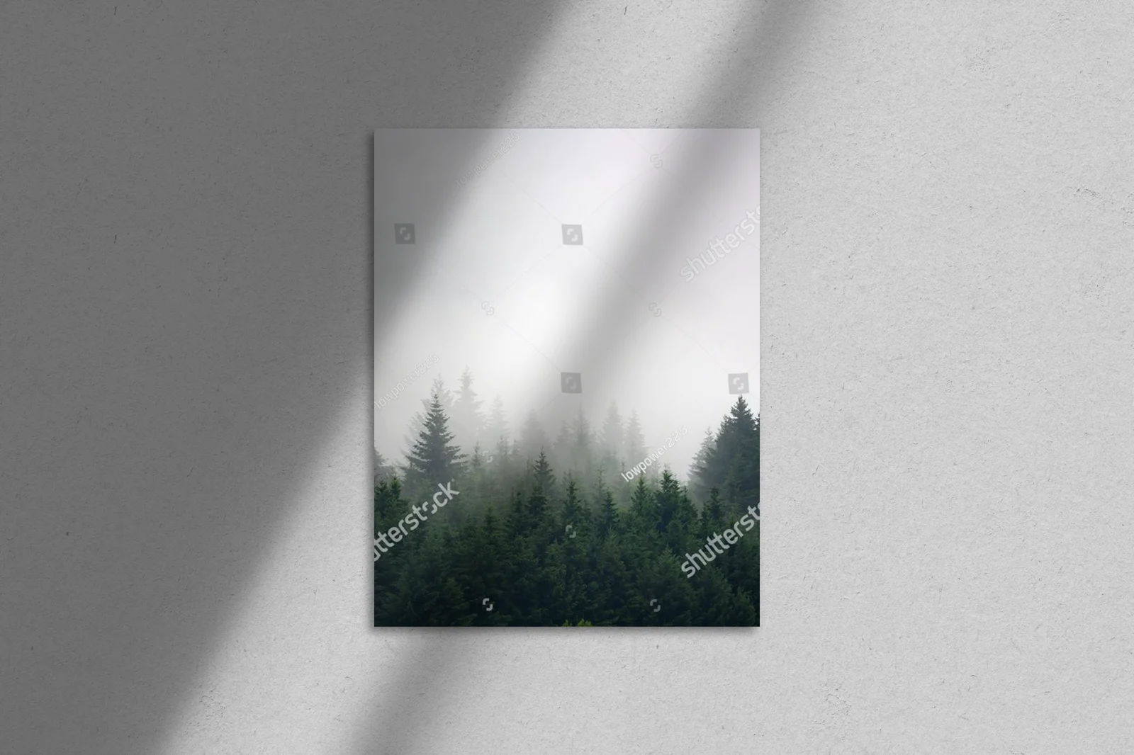 Misty poranek w leśnej dolinie