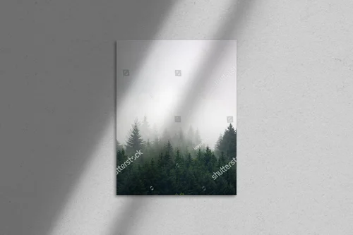 Misty poranek w leśnej dolinie
