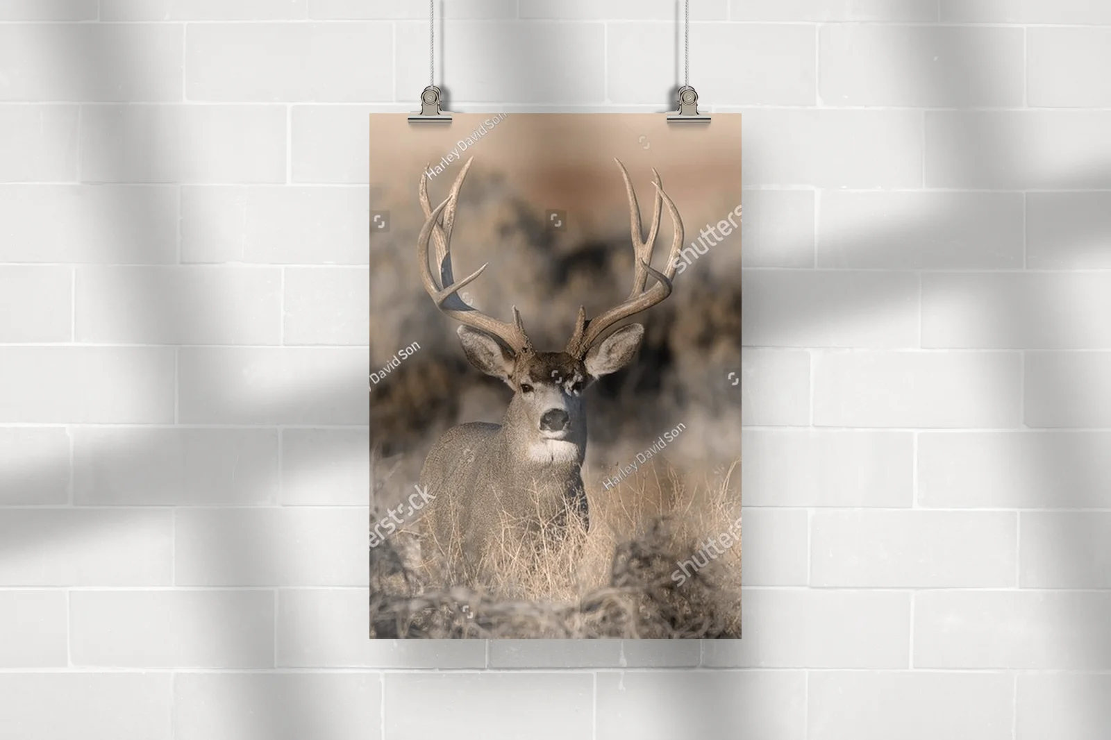 Majestic Deer in Nature's Embrace