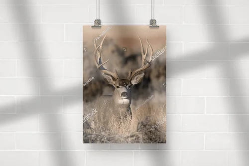 Majestic Deer in Nature's Embrace