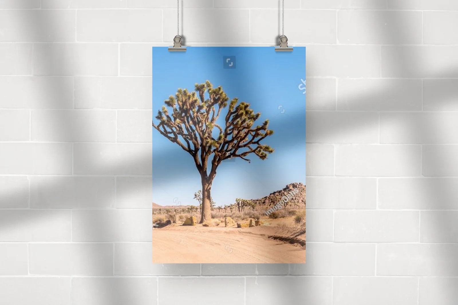 Sceniczne krajobrazy pustyni w Joshua Tree