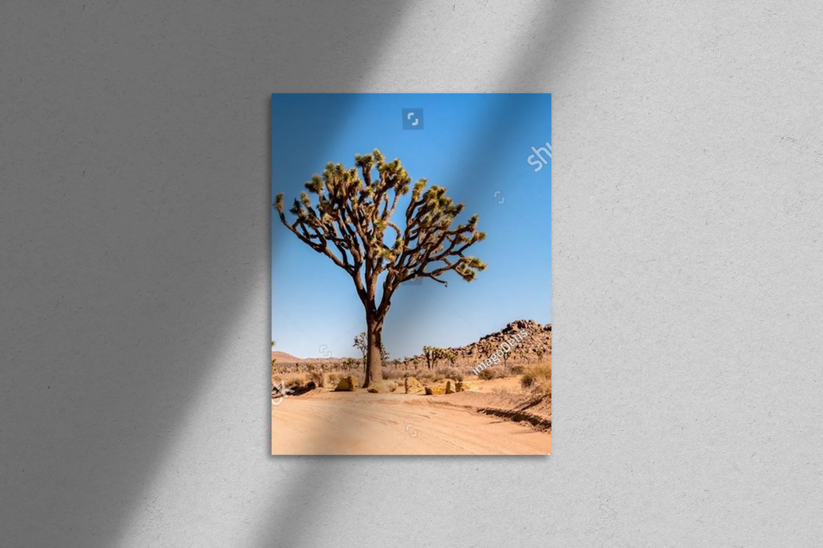 Sceniczne krajobrazy pustyni w Joshua Tree