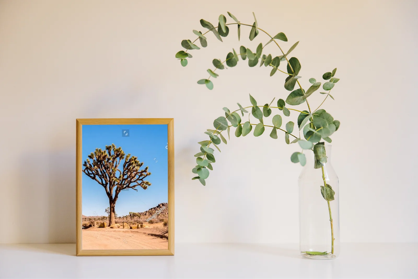 Sceniczne krajobrazy pustyni w Joshua Tree