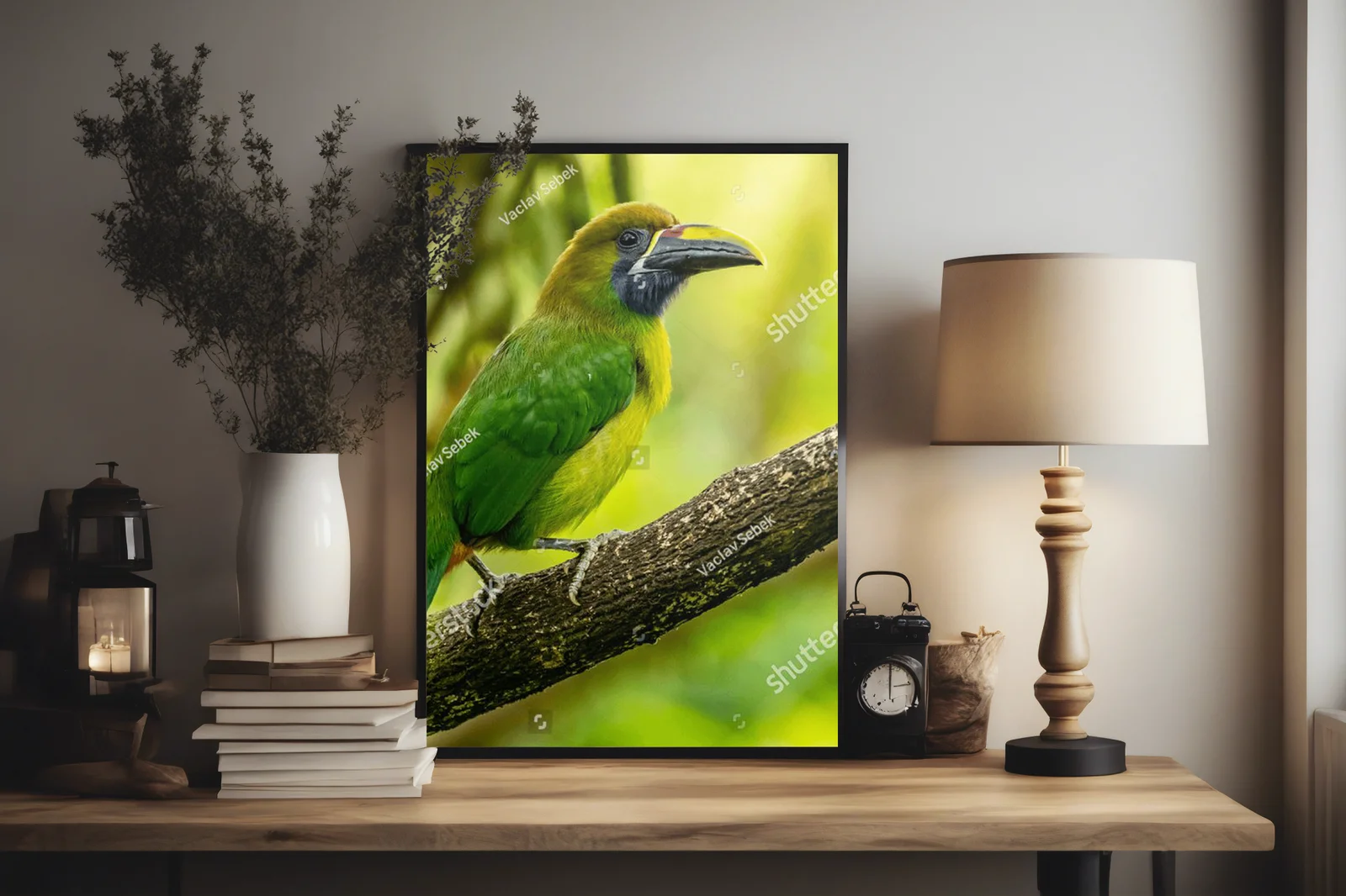 Tropical Adventure: The Crimson-rumped Toucanet
