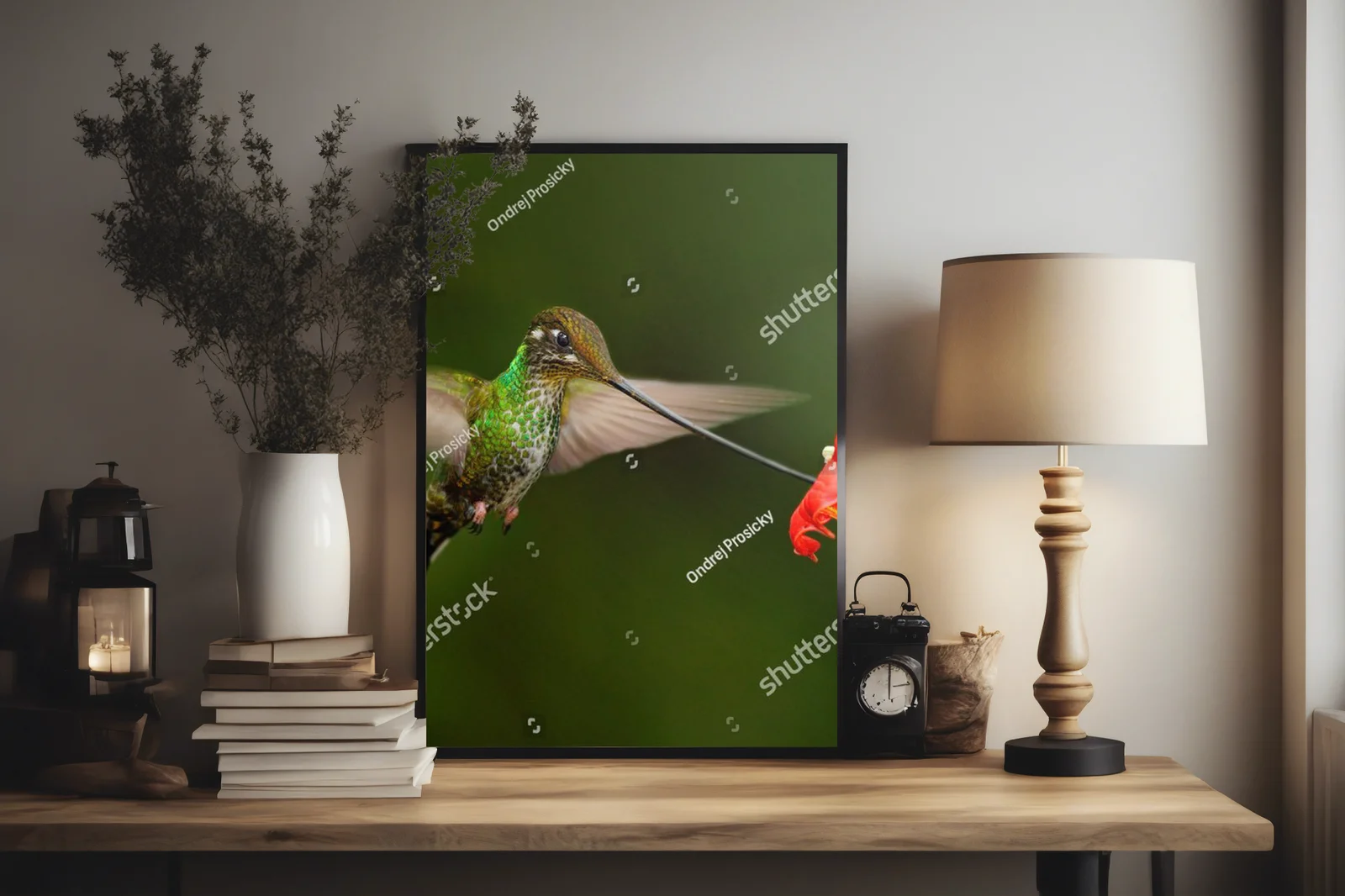Magiczne stworzenia Amazonii w intensywnych barwach