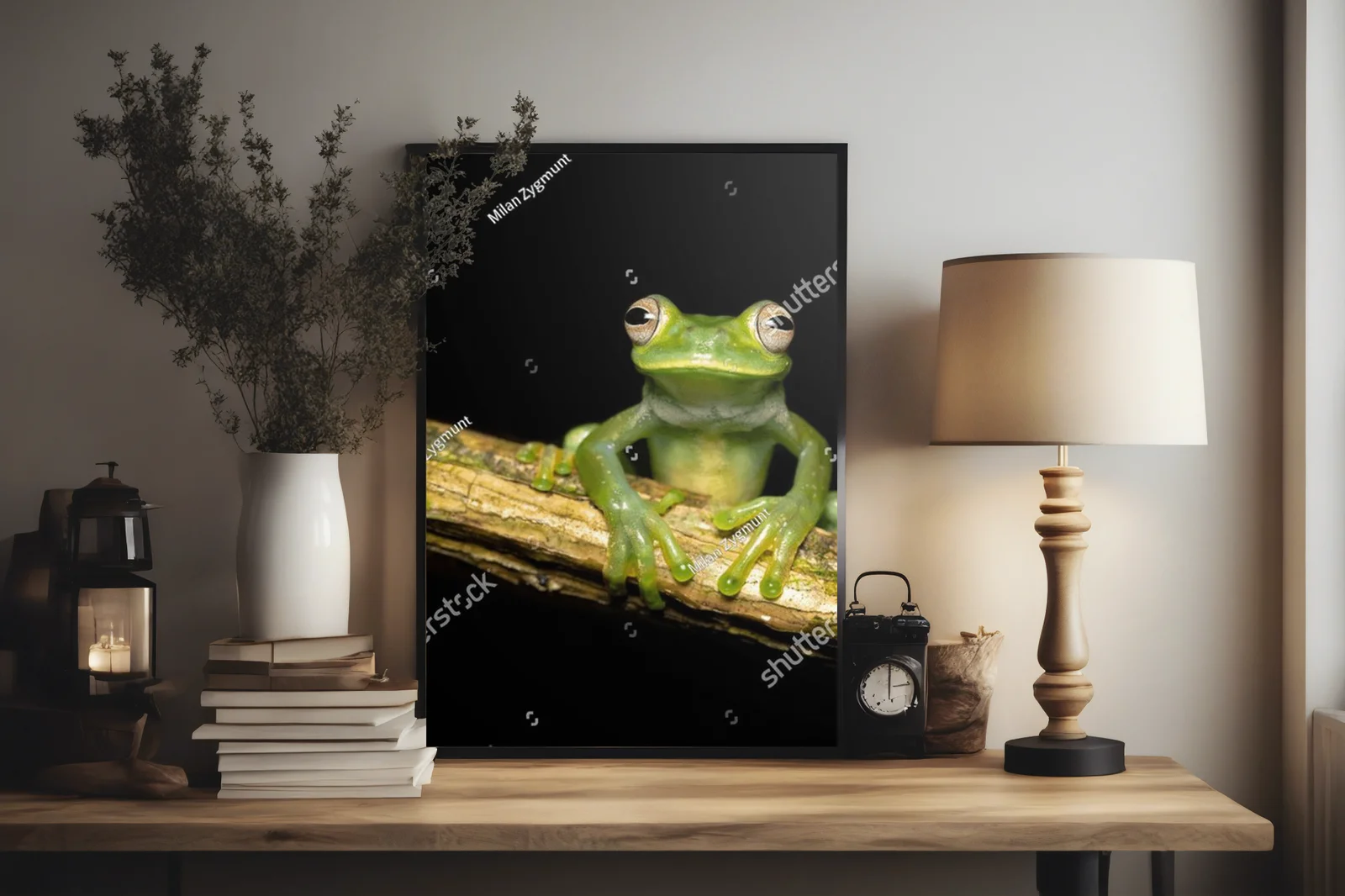 Czarująca egzotyka: palmer's tree frog w ciemnych tonach