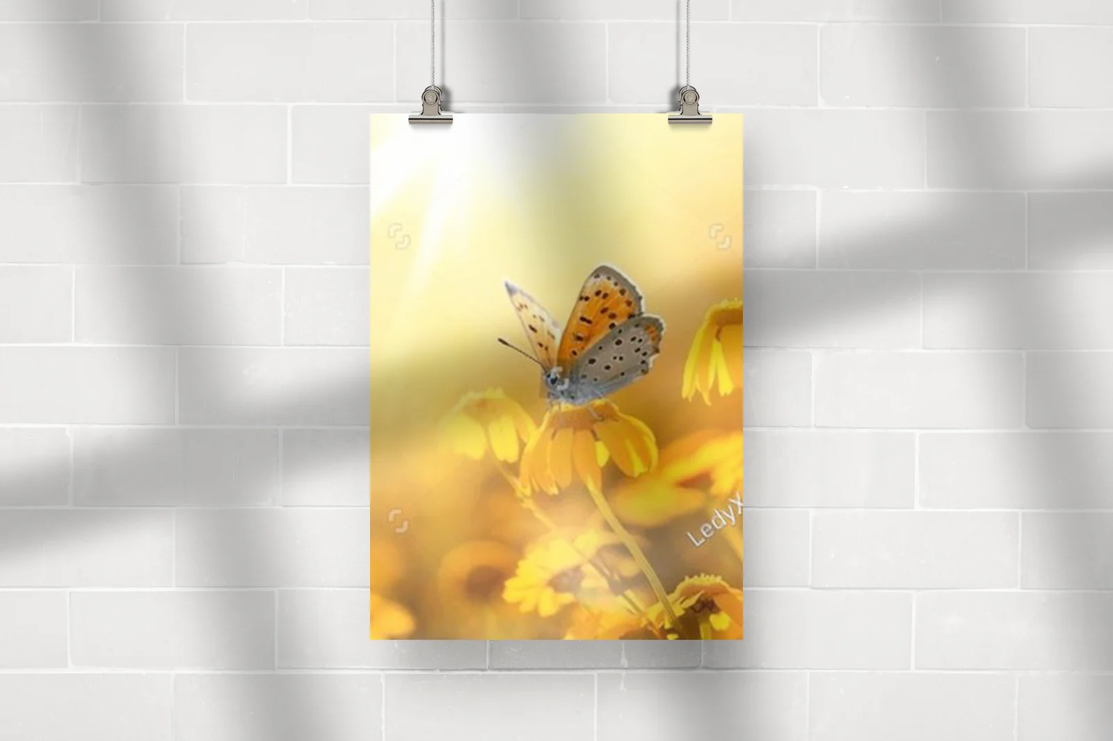 Czarujący motyl na słonecznym polu margaretek