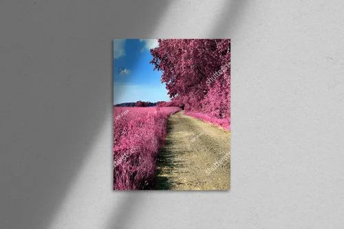 Magiczne krajobrazy w różowych i purpurowych barwach