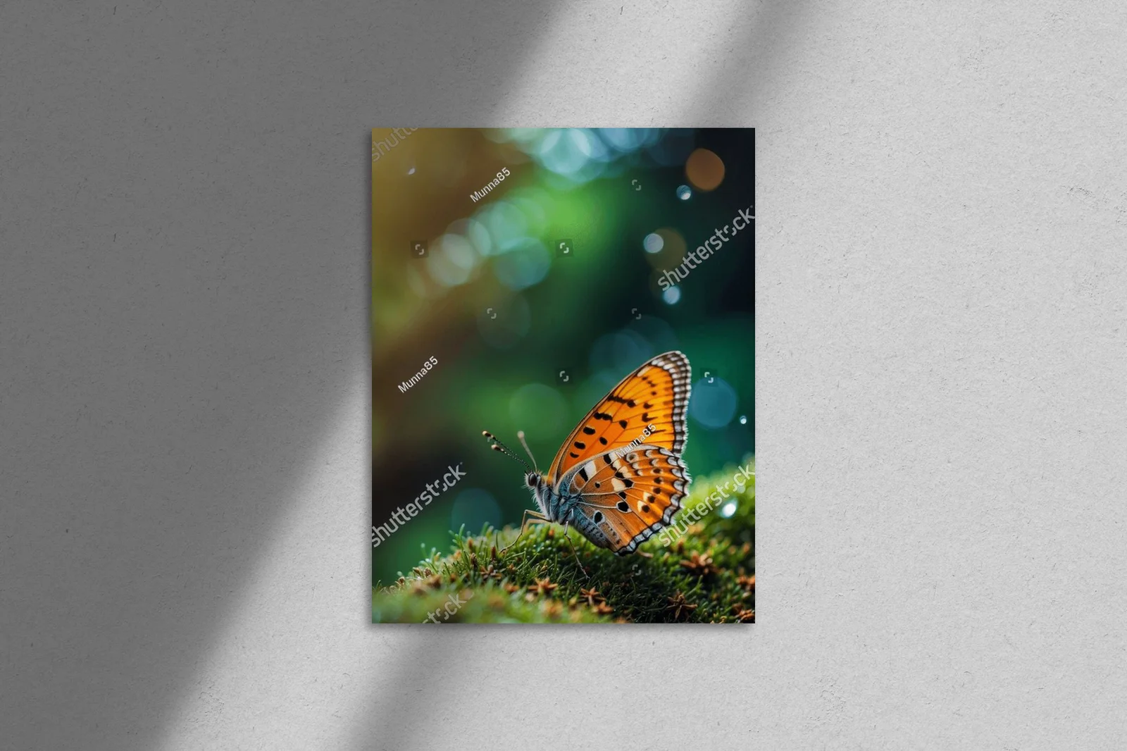 Elegancki motyl w iskrzących odcieniach