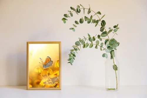 Czarujący motyl na słonecznym polu margaretek