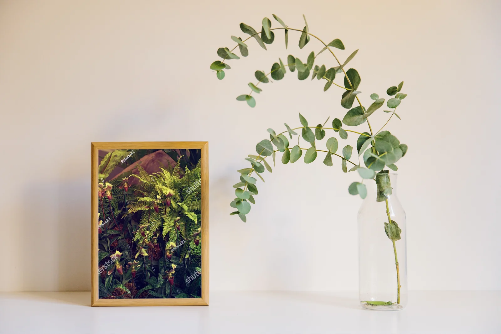 Vintage chwile z orchideami w aksamitnych odcieniach