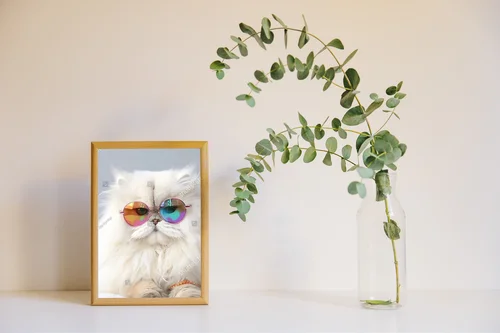 Urokliwy kociak w modnym stylu Fairy Kei