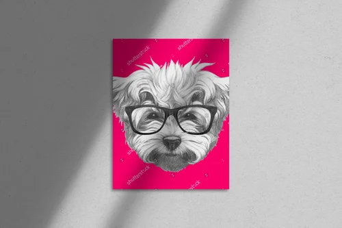 Radosny portret maltese w okularach