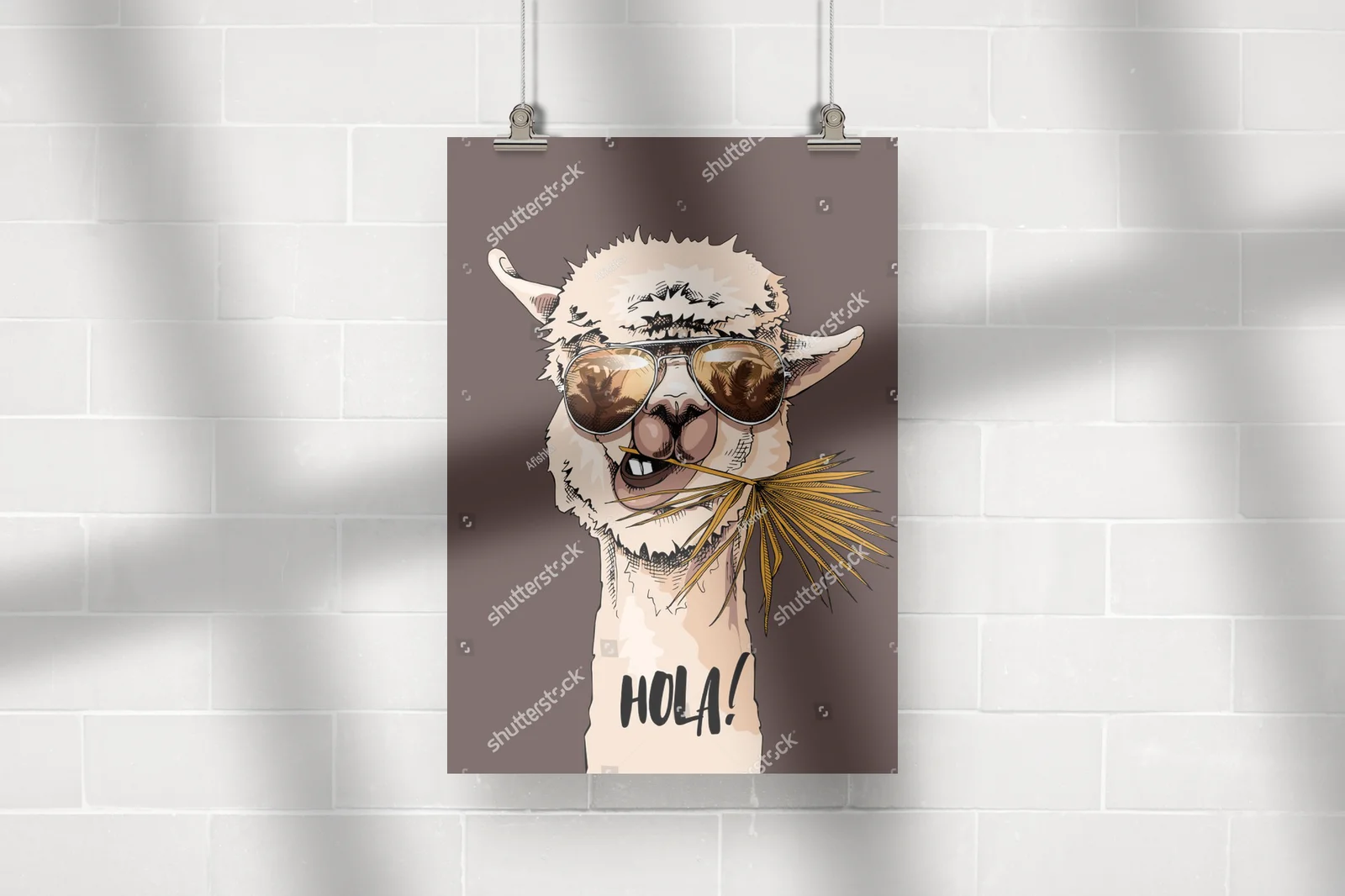 Zabawna Llama w Okularach Słonecznych