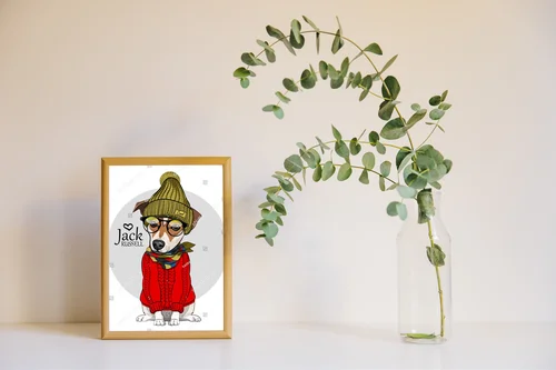 Stylowy Jack Russell w modnym odzieniu