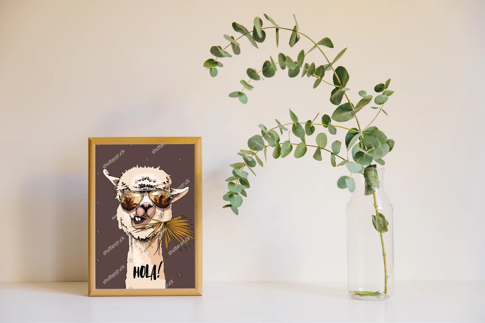 Zabawna Llama w Okularach Słonecznych