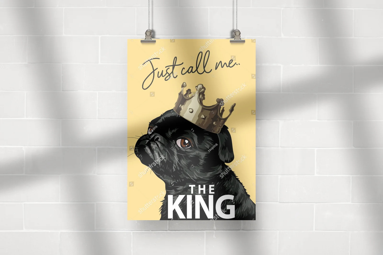 Królestwo uroku – czarny pug w złotej koronie