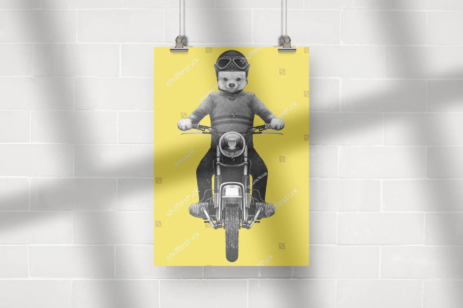 Chihuahua na motocyklu w sentymentalnym stylu